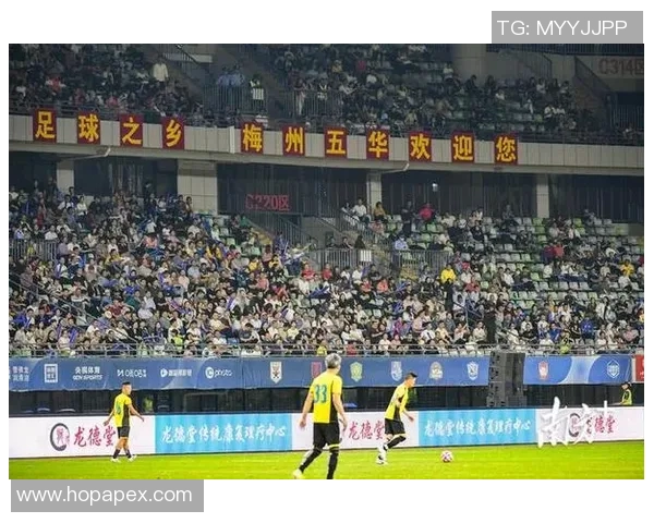 蛋哥究竟是哪个足球明星背后的故事与成就揭秘